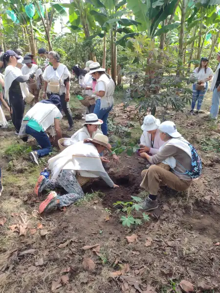 Encuentro con los Elementales
